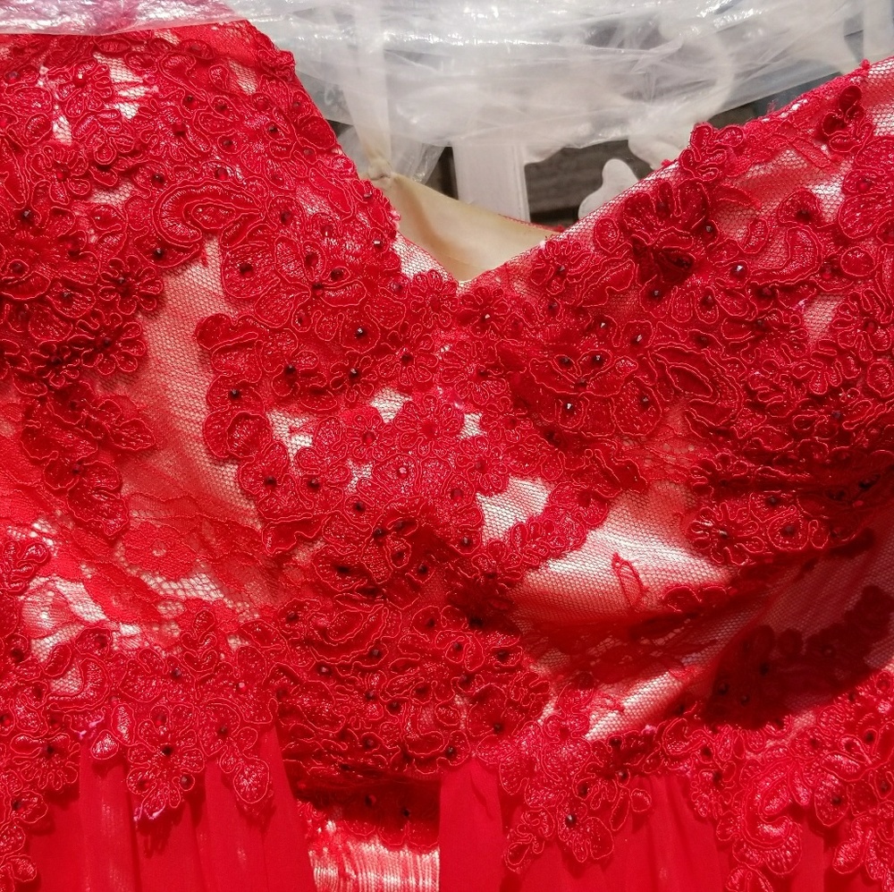 Plus Size Prom Dress - Picture 3 of 5
